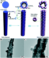 Graphical abstract: Hierarchical MoS2/MoO3 nanotubes with excellent electrochemical performance: MoS2 bubbles on MoO3 nanotubes