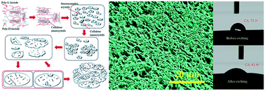 Graphical abstract: Nanocellulose-assisted construction of hydrophilic 3D hierarchical stereocomplex meshworks in enantiomeric polylactides: towards thermotolerant biocomposites with enhanced environmental degradation