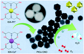 Graphical abstract: Concave PtCo nanooctahedra with high-energy {110} facets for the oxygen reduction reaction