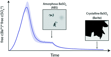 Graphical abstract: Capturing an amorphous BaSO4 intermediate precursor to barite