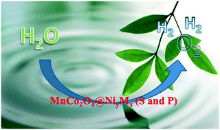 Graphical abstract: Construction of a MnCo2O4@NiyMx (S and P) crosslinked network for efficient electrocatalytic water splitting