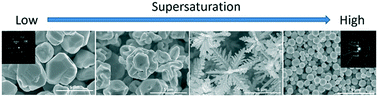 Graphical abstract: Precipitation of silver particles with controlled morphologies from aqueous solutions