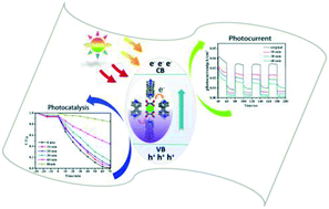 Graphical abstract: Photochromic inorganic–organic complex derived from low-cost deep eutectic solvents with tunable photocurrent responses and photocatalytic properties