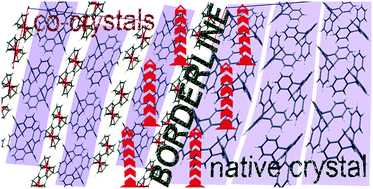 Graphical abstract: The borderline: exploring the structural landscape of triptycene in cocrystallization with ferrocene
