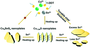 Graphical abstract: Simple one-pot synthesis of Cu4SnS4 nanoplates and temperature-induced phase transformation mechanism