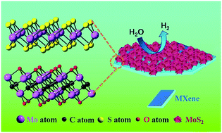 Graphical abstract: 2D organ-like molybdenum carbide (MXene) coupled with MoS2 nanoflowers enhances the catalytic activity in the hydrogen evolution reaction