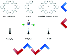 Graphical abstract: Crystal formation of 1D coordination polymers based on chiral, achiral and racemic 1,2-cyclohexane scaffolds
