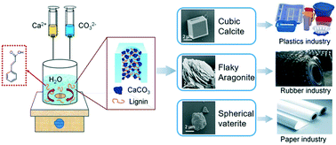 Graphical abstract: Phase selection of calcium carbonate crystals under the induction of lignin monomer model compounds
