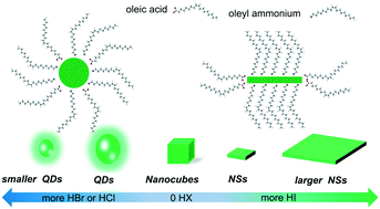 Graphical abstract: Changing the shape and optical properties of CsPbBr3 perovskite nanocrystals with hydrohalic acids using a room-temperature synthesis process