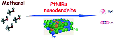 Graphical abstract: Comparison of the structure and methanol electrooxidation ability from irregular PtNi nanocrystals to PtNiRu nanodendrites