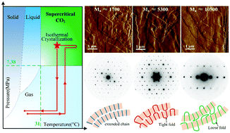 Graphical abstract: Investigation on the influence of fold conformation on PLLA lamellar splaying by film crystallization in supercritical CO2