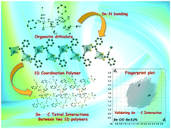 Graphical abstract: New 1D diorganotin(iv) dithiolate coordination polymers: crystallographic, computational, Hirshfeld surface and thermal analyses