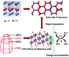 Graphical abstract: Defective crystal plane-oriented induced lattice polarization for the photocatalytic enhancement of ZnO