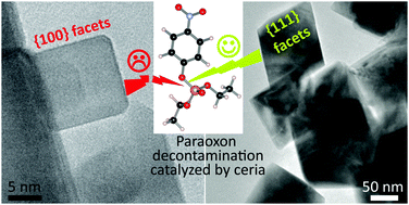 Graphical abstract: Shape-selective synthesis of nanoceria for degradation of paraoxon as a chemical warfare simulant