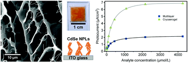 Graphical abstract: Nanoplatelet cryoaerogels with potential application in photoelectrochemical sensing