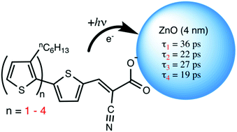 Graphical abstract: Effect of extending conjugation via thiophene-based oligomers on the excited state electron transfer rates to ZnO nanocrystals