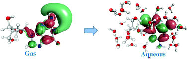 Graphical abstract: Notable effect of water on excess electron attachment to aqueous DNA deoxyribonucleosides