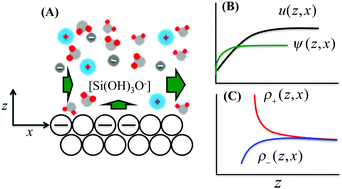 Graphical abstract: Flow effects on silicate dissolution and ion transport at an aqueous interface