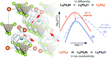Graphical abstract: Substitutional disorder: structure and ion dynamics of the argyrodites Li6PS5Cl, Li6PS5Br and Li6PS5I