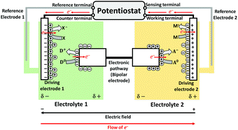Graphical abstract: Closed bipolar electrochemistry in a four-electrode configuration