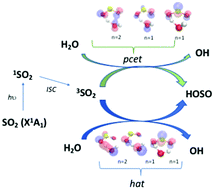Graphical abstract: Triplet state promoted reaction of SO2 with H2O by competition between proton coupled electron transfer (pcet) and hydrogen atom transfer (hat) processes