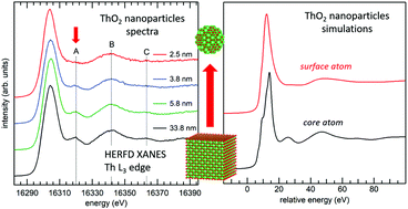 Graphical abstract: Understanding the size effects on the electronic structure of ThO2 nanoparticles