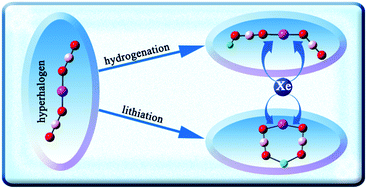 Graphical abstract: Noble gas insertion compounds of hydrogenated and lithiated hyperhalogens