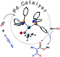 Graphical abstract: Palladium-catalysed alkyne alkoxycarbonylation with P,N-chelating ligands revisited: a density functional theory study
