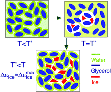 Graphical abstract: Synergy of orientational relaxation between bound water and confined water in ice cold-crystallization