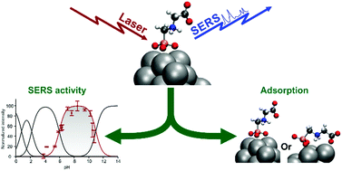 Graphical abstract: Understanding chemical interaction between phosphonate-derivative molecules and a silver surface cluster in SERS: a combined experimental and computational approach