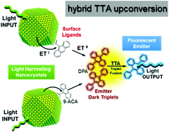Graphical abstract: Triplet–triplet annihilation based photon up-conversion in hybrid molecule–semiconductor nanocrystal systems