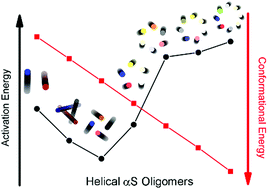 Graphical abstract: On the ubiquity of helical α-synuclein tetramers