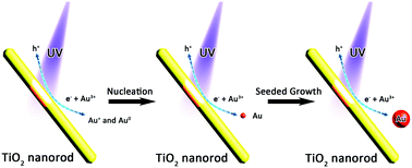 Graphical abstract: Photocatalytic synthesis of gold nanoparticles using TiO2 nanorods: a mechanistic investigation