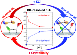 Graphical abstract: Deconvolution of BIL-SFG and DL-SFG spectroscopic signals reveals order/disorder of water at the elusive aqueous silica interface
