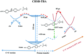 Graphical abstract: Excited state structural dynamics of 4-cyano-4′-hydroxystilbene: deciphering the signatures of proton-coupled electron transfer using ultrafast Raman loss spectroscopy