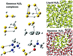 Graphical abstract: Computational insight into hydrogen persulfide and a new additive model for chemical and biological simulations