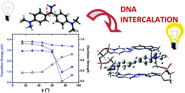 Graphical abstract: Auramine O interaction with DNA: a combined spectroscopic and TD-DFT analysis