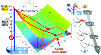 Graphical abstract: Ultrafast dynamics in polycyclic aromatic hydrocarbons: the key case of conical intersections at higher excited states and their role in the photophysics of phenanthrene monomer