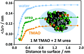 Graphical abstract: Dynamics of TMAO and urea in the hydration shell of the protein SNase