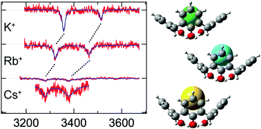 Graphical abstract: Conformation of alkali metal ion-calix[4]arene complexes investigated by IR spectroscopy in the gas phase