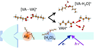 Graphical abstract: Ionization of carboxylic acid clusters in the gas phase and on free ArN and (H2O)N nanoparticles: valeric acid as a model for small carboxylic acids