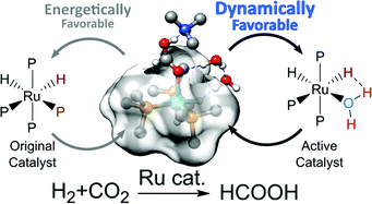 Graphical abstract: Structural inhomogeneity as a factor promoting the homogenous catalysis of CO2 hydrogenation by (PMe3)4RuH2