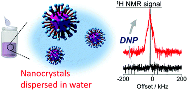 Graphical abstract: Triplet dynamic nuclear polarization of nanocrystals dispersed in water at room temperature
