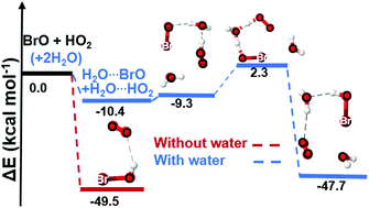Graphical abstract: Impact of water on the BrO + HO2 gas-phase reaction: mechanism, kinetics and products
