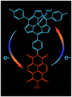 Graphical abstract: Electron transfer reactions in sub-porphyrin–naphthyldiimide dyads