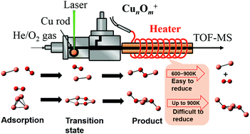 Graphical abstract: Effect of atomicity on the oxidation of cationic copper clusters studied using thermal desorption spectrometry