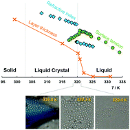 Graphical abstract: Surface crystallization of ionic liquid crystals