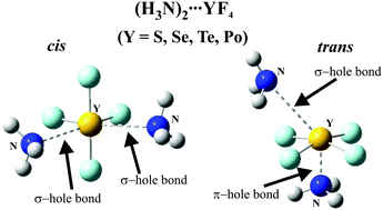 Graphical abstract: Chalcogen bonding of two ligands to hypervalent YF4 (Y = S, Se, Te, Po)