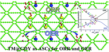 Graphical abstract: Molecule-level graphdiyne coordinated transition metals as a new class of bifunctional electrocatalysts for oxygen reduction and oxygen evolution reactions