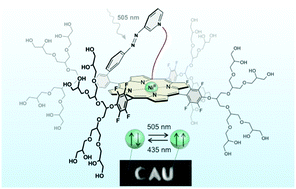 Graphical abstract: Dendronised Ni(ii) porphyrins as photoswitchable contrast agents for MRI